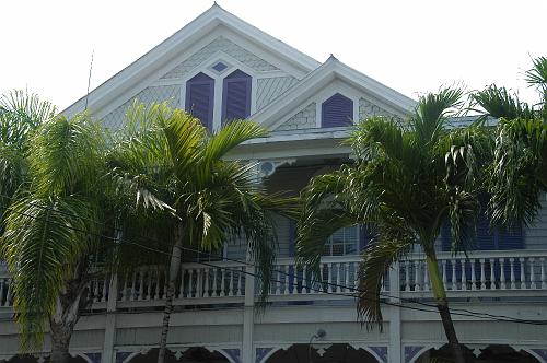 Palms and Porch